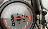 IMG_0536